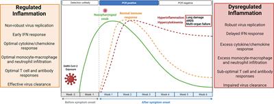 Potential Immunomodulatory Properties of Biologically Active Components of Spices Against SARS-CoV-2 and Pan β-Coronaviruses